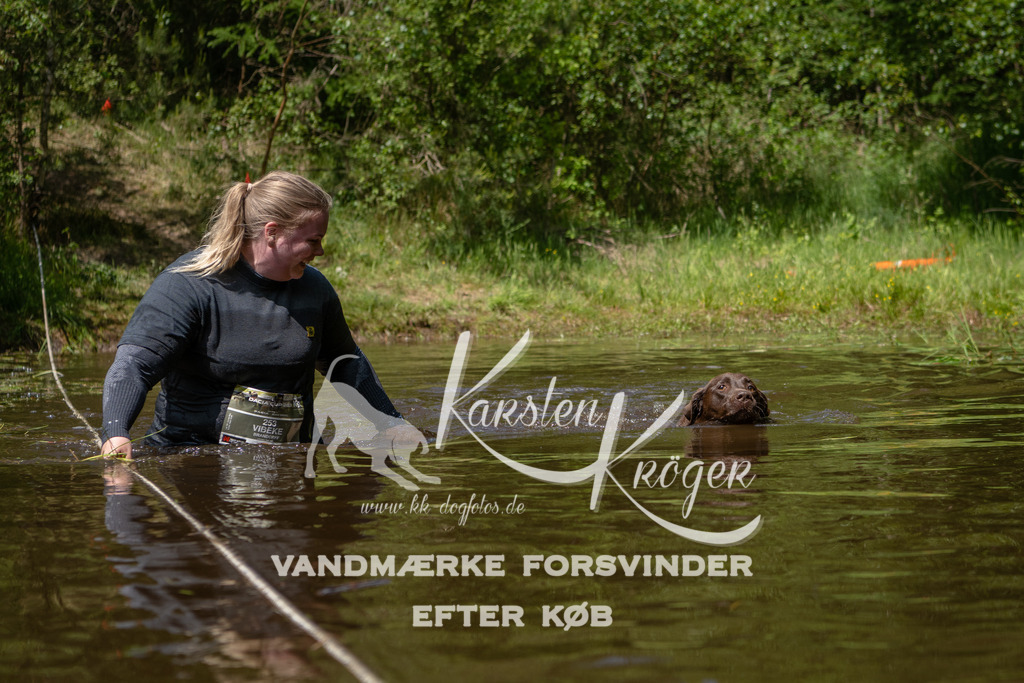 1320DKK994406 | kk-dogfotos