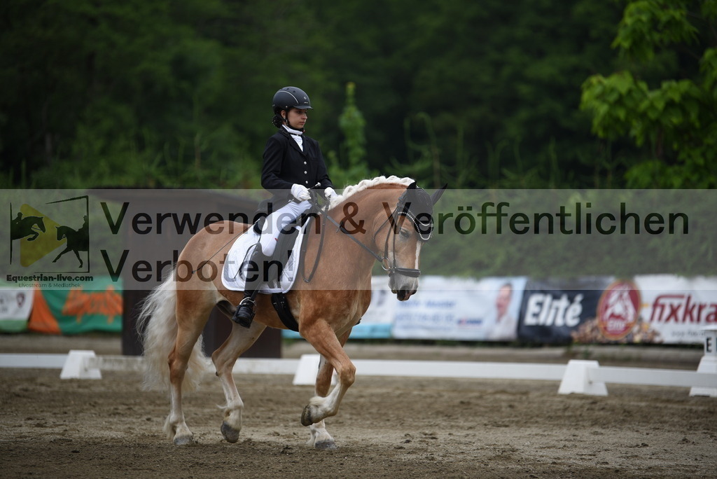 DSC_7927 | equestrian-live-com