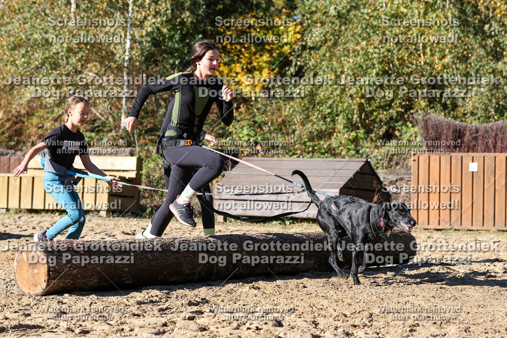 Dog Paparazzi - Strongdog 10-25-2545 | Dog Paparazzi Jeanette Grottendiek Fotografie & Videografie - Realisiert mit Pictrs.com