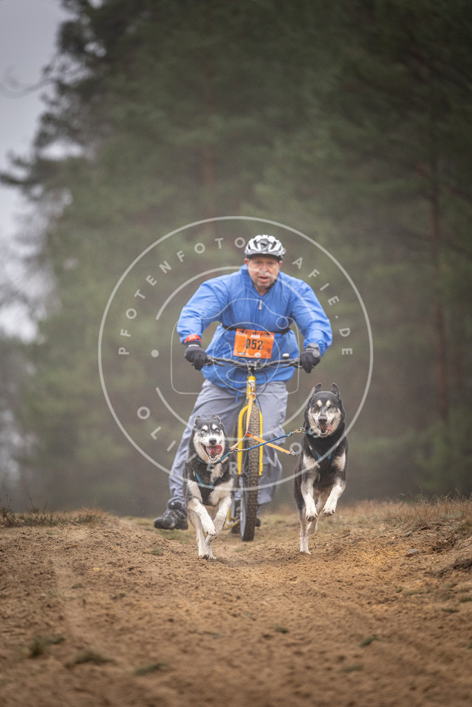 Pfotenfotografie_DV3A1253 | Hundefotografie, Tierfotograf, Pfotenfotografie, Fotoshooting Hund, Hunde Portrait, Hundesport, Hundeportraits, Heideshooting, Hunde, Sportfotograf, Hundefotograf, Turnierhundsport, THS,  - Realisiert mit Pictrs.com