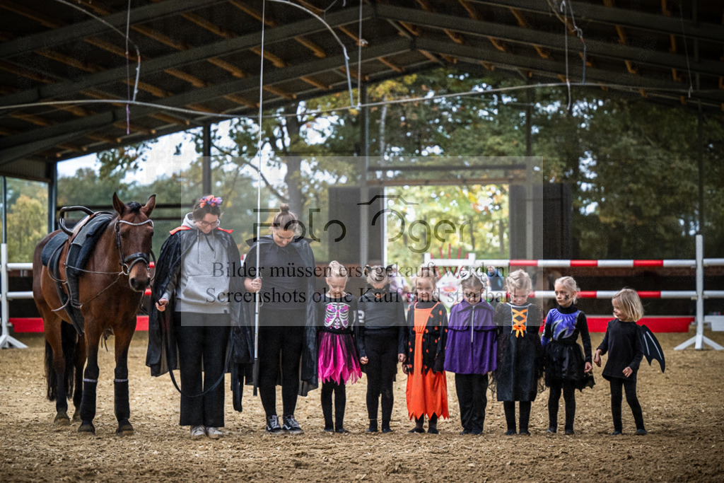 DOS_0026 | Entdecke hochwertige Reitturnierfotos von Foto Oger. Professionell, emotional und authentisch – jetzt Lieblingsmomente im Shop bestellen.Deutschlandweite Turnierfotografie. - Realisiert mit Pictrs.com
