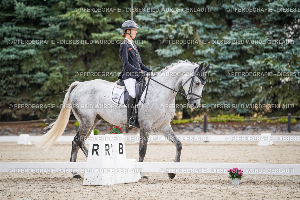 DSC00066 | Pferdegrafie