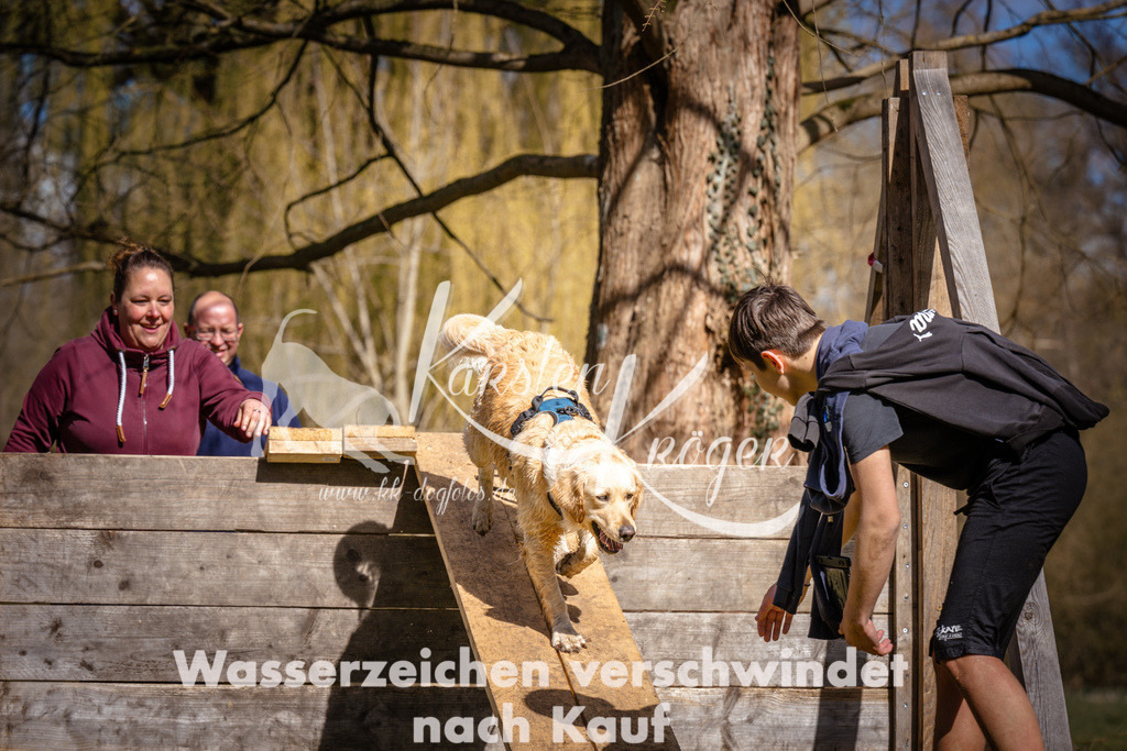 1030_ZZ97493 | kk-dogfotos