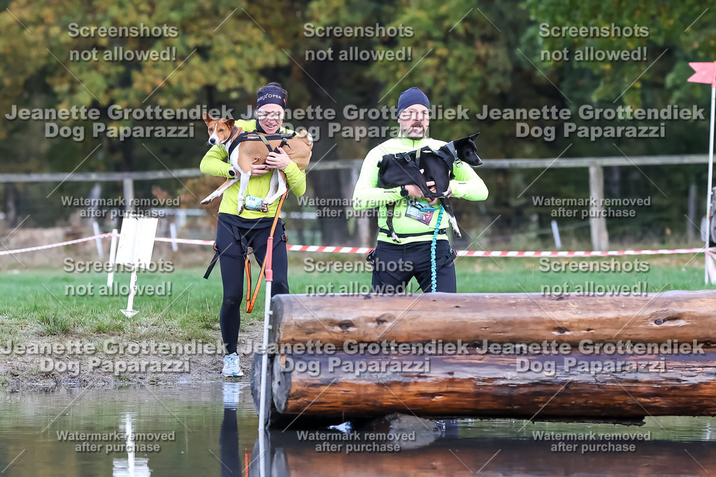 Dog Paparazzi - Strongdog 10-25-6886 | Dog Paparazzi Jeanette Grottendiek Fotografie & Videografie - Realisiert mit Pictrs.com