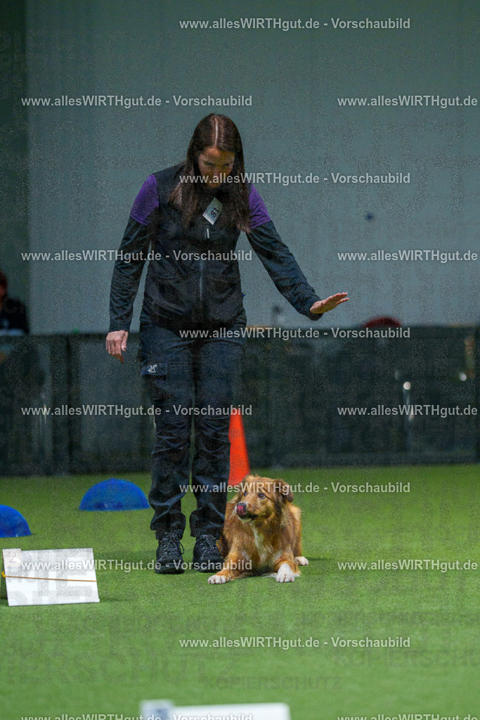 7R507720 | Professionelle Tierfotografie in Mönchengladbach von Daniel Wirth (allesWIRTHgut). Liebevolle & natürliche Bilder von Hunden & Katzen für unvergessliche Erinnerungen.