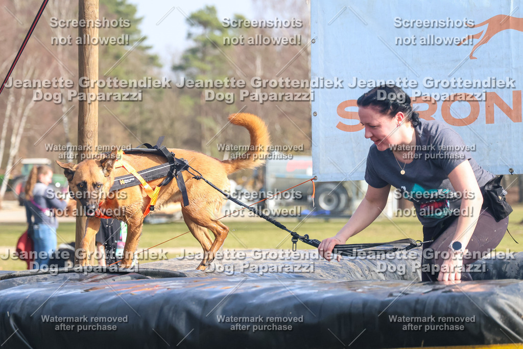 Dog Paparazzi - Strongdog North Mrz26-2038 | Dog Paparazzi Jeanette Grottendiek Fotografie & Videografie - Realisiert mit Pictrs.com