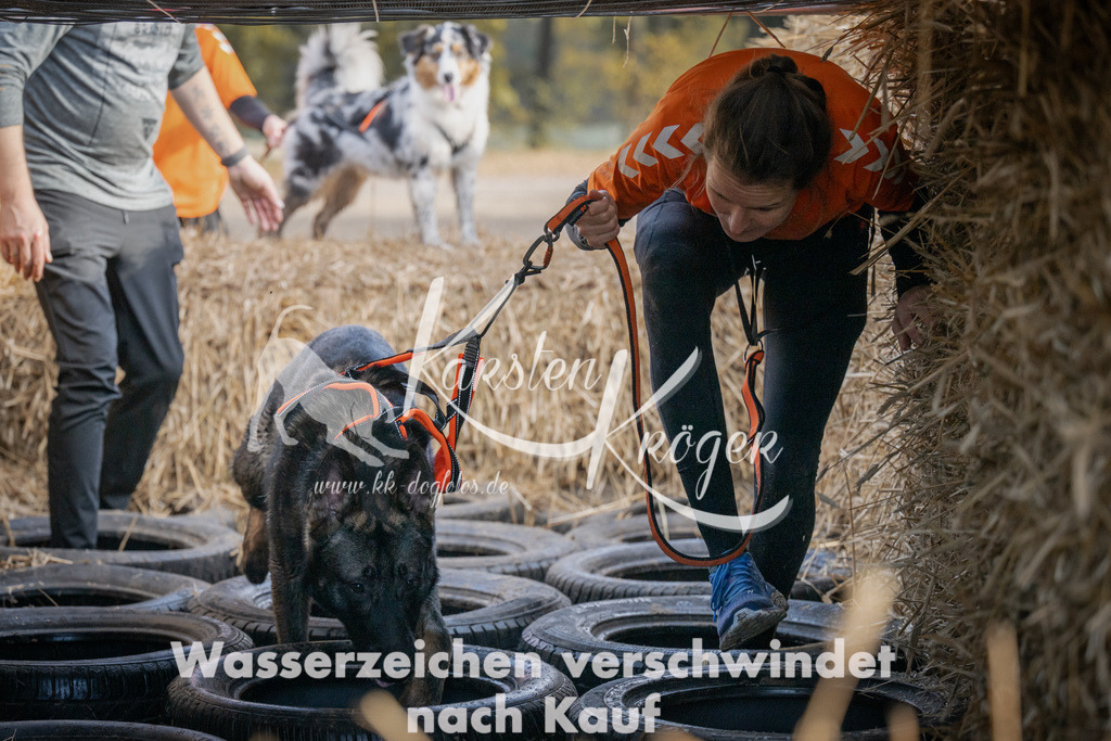 1031_ZZ98496 | kk-dogfotos