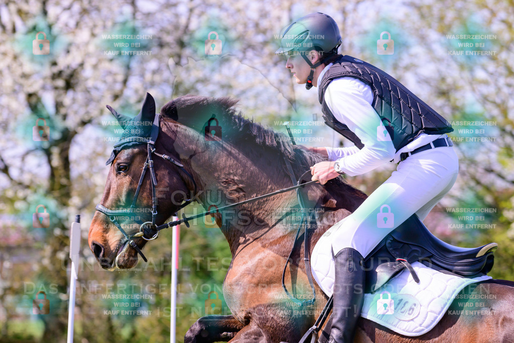 18042026-Gernlinden-01-1-0026 | Fokus Hufschlag Fotografie - Realisiert mit Pictrs.com