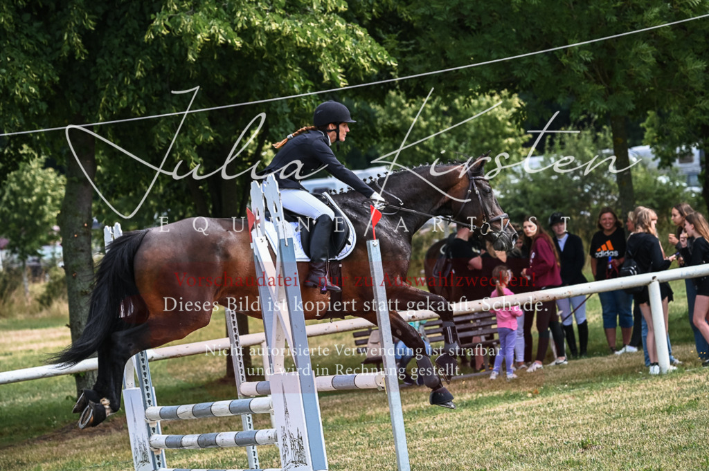 DSC_8312 | Pferde- und Turnierfotografie in Westsachsen. Pferdeportraits, Auftragszeichnungen und intuitive Kunst.