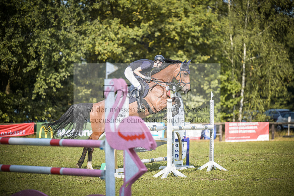 DOS_0562 | Entdecke hochwertige Reitturnierfotos von Foto Oger. Professionell, emotional und authentisch – jetzt Lieblingsmomente im Shop bestellen.Deutschlandweite Turnierfotografie. - Realisiert mit Pictrs.com