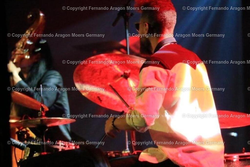 IMG_5286 | aragon-pics - Realisiert mit Pictrs.com