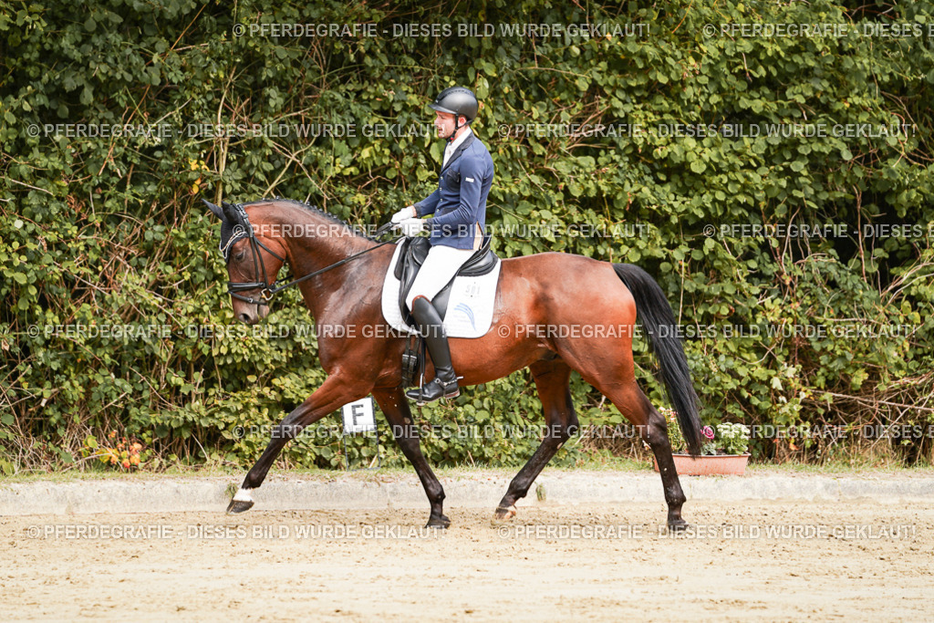 DSC09109 | Pferdegrafie