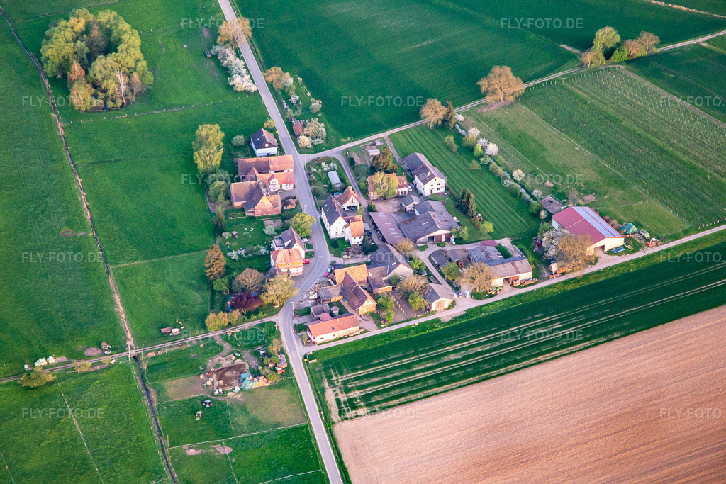 Luftbild: Mennonitengemeinde Deutschland im Deutschhof im Ortsteil Deutschhof in Kapellen-Drusweiler im Bundesland Rheinland-Pfalz in Deutschland. Foto: IMG_140255.jpg vom 11.04.2024 durch Werner Riehm/FLY-FOTO.de