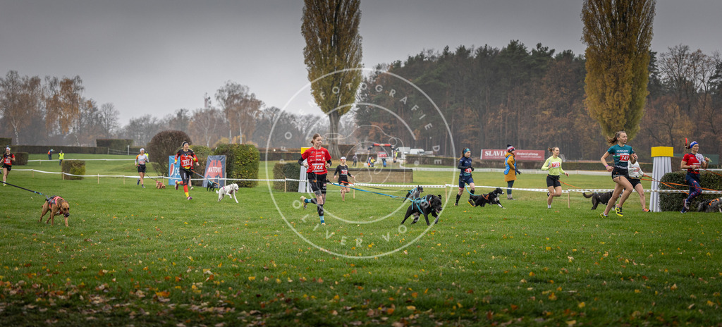 CaniXpix_DV3A8860 | Hundefotografie, Tierfotograf, Pfotenfotografie, Fotoshooting Hund, Hunde Portrait, Hundesport, Hundeportraits, Heideshooting, Hunde, Sportfotograf, Hundefotograf, Turnierhundsport, THS,  - Realisiert mit Pictrs.com