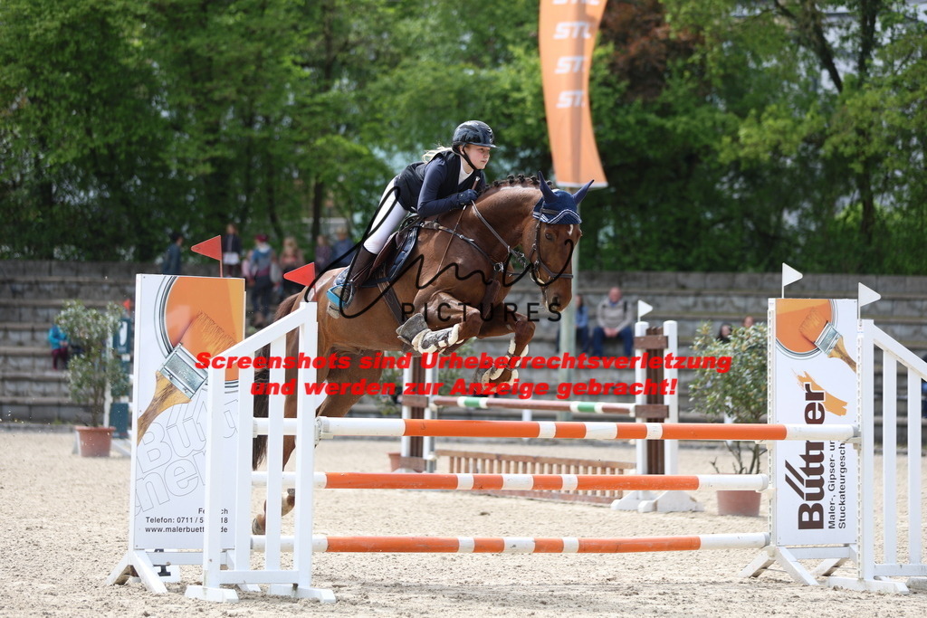 A40A2323 | lmwpictures - Realisiert mit Pictrs.com