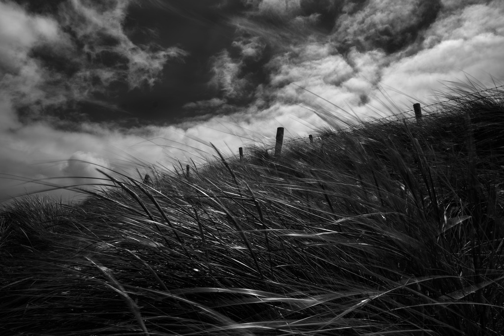 Atlantikküste | atlantikküste, atlantik,nordirland,grüne insel, irland, bier, whisky - Realisiert mit Pictrs.com