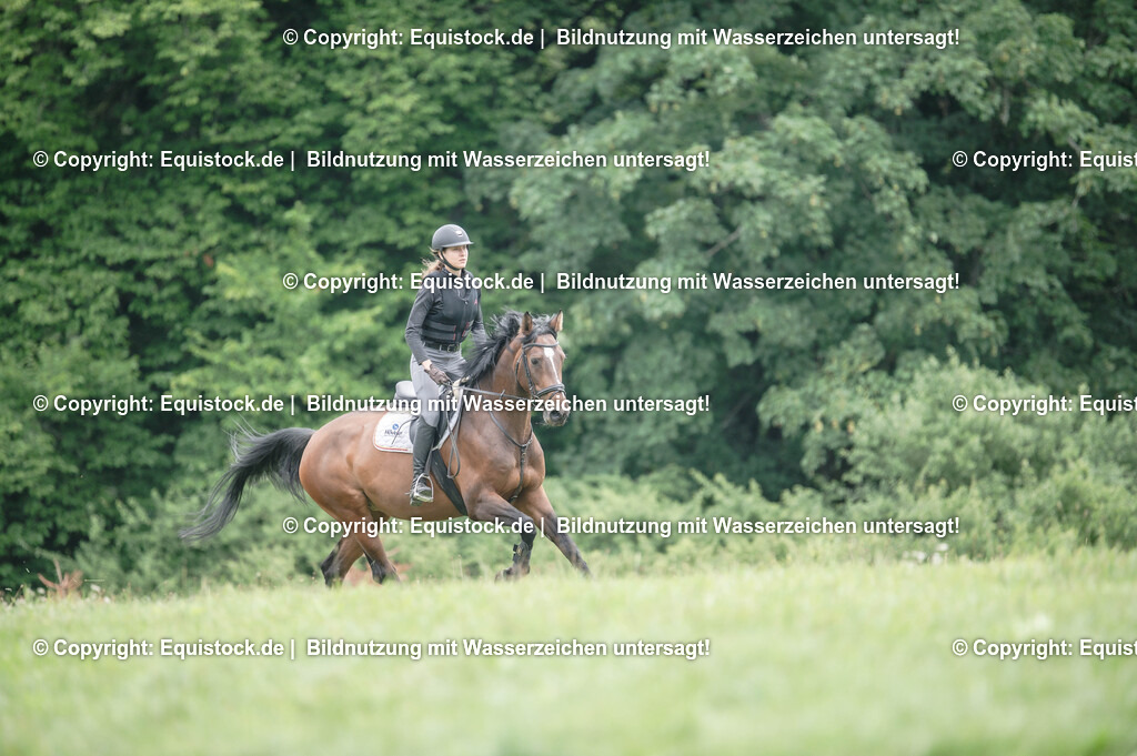20250726_Vielseitigkeitslehrgang-Marbach_0790 | Foto: Thomas Hartig