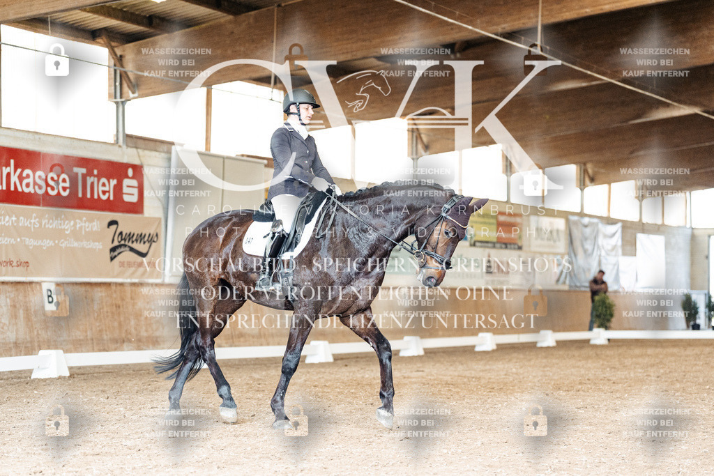 CK901490 | Turnierfotografie Pferdefotografie Trier Rheinland-Pfalz Pferdesport Reitsport Tierfotografie Sportfotografie Pferdevideo Pferdevideografie Equestrianvideography equestrianphotography  - Realized with Pictrs.com