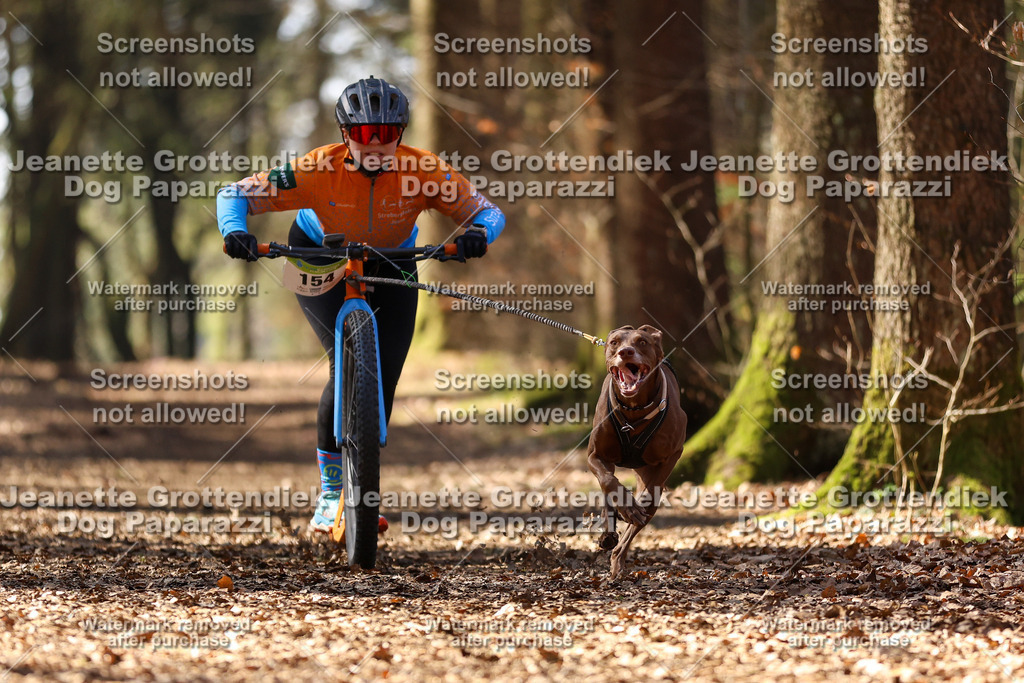 Dog Paparazzi - VCC26-1242 | Dog Paparazzi Jeanette Grottendiek Fotografie & Videografie - Realisiert mit Pictrs.com