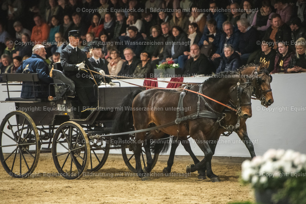 20240302_Hengstvorstellung_Marbach_TOMsPiC_0786 | equistock