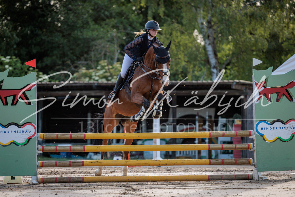 20260529-_3LI0992 | Tierfotografie Pferde, Hunde, Katzen, Haustiere.
Turnierfotografie Reitturniere, Reiten, Springreiten, Dressur in Hanau, dem Main-Kinzig-Kreis und dem Rhein-Main- Gebiet um Frankfurt