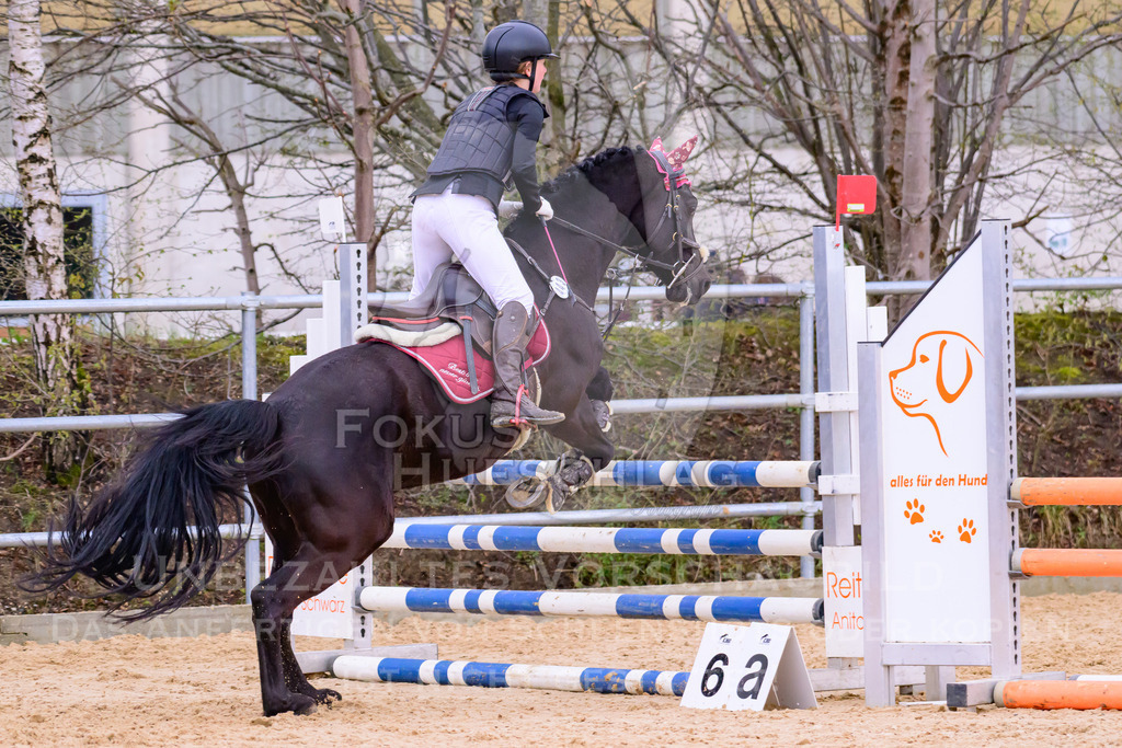 10042026-Mammendorf-Prfg16-0676 | Fokus Hufschlag Fotografie - Realisiert mit Pictrs.com