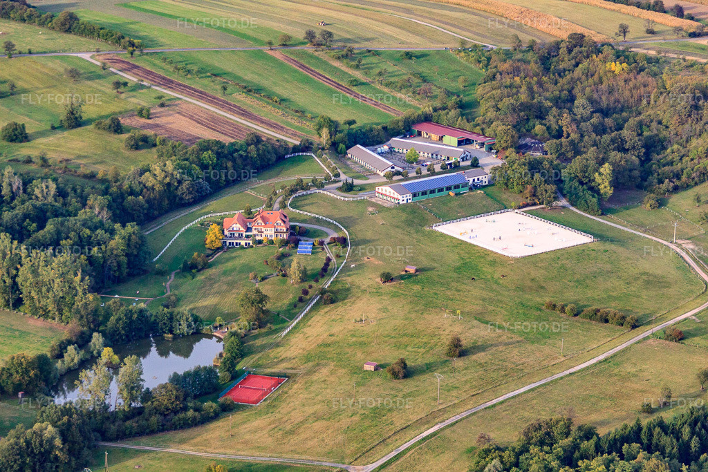 Luftbild: Haras Lerchenberg in Gundershoffen im Bundesland Bas-Rhin in Frankreich. – Foto: IMG_53657.jpg vom 30.09.2012 durch Werner Riehm/FLY-FOTO.de – Auflösung des Originals: 4752 x 3168 px – Haras du Lerchenberg, élevage et vente de chevaux de CSO en Alsace