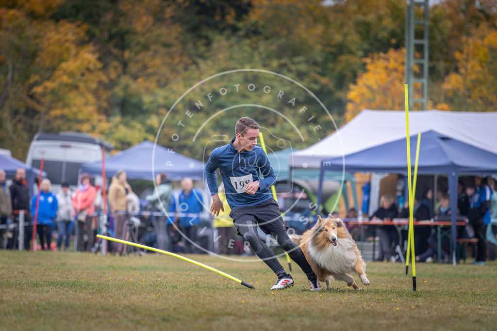 Pfotenfotografie_DV3A1133 | Hundefotografie, Tierfotograf, Pfotenfotografie, Fotoshooting Hund, Hunde Portrait, Hundesport, Hundeportraits, Heideshooting, Hunde, Sportfotograf, Hundefotograf, Turnierhundsport, THS,  - Realisiert mit Pictrs.com