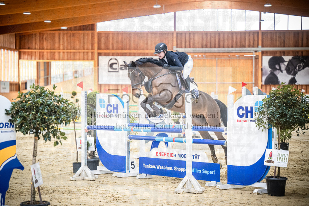 DOS_0888 | Entdecke hochwertige Reitturnierfotos von Foto Oger. Professionell, emotional und authentisch – jetzt Lieblingsmomente im Shop bestellen.Deutschlandweite Turnierfotografie. - Realisiert mit Pictrs.com