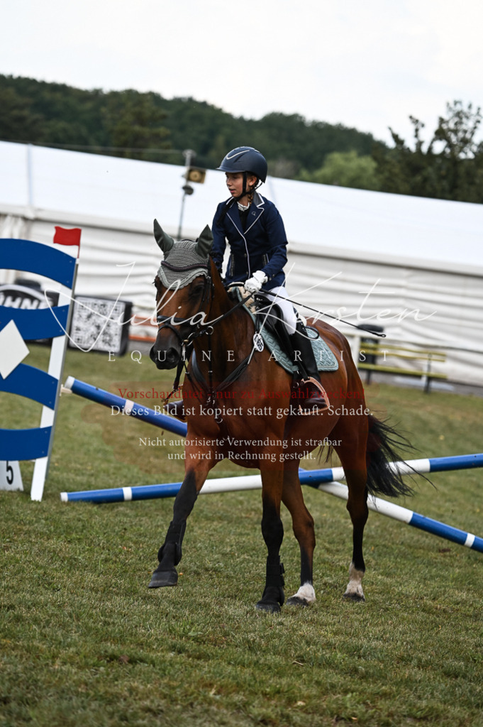 DSC_5686 | Pferde- und Turnierfotografie in Westsachsen. Pferdeportraits, Auftragszeichnungen und intuitive Kunst.