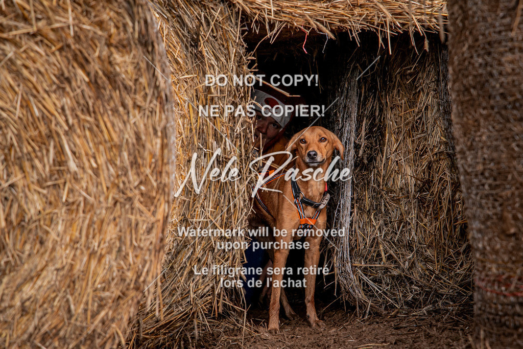 nelerasche_Hunsrück_So09-11_378 | nelerasche