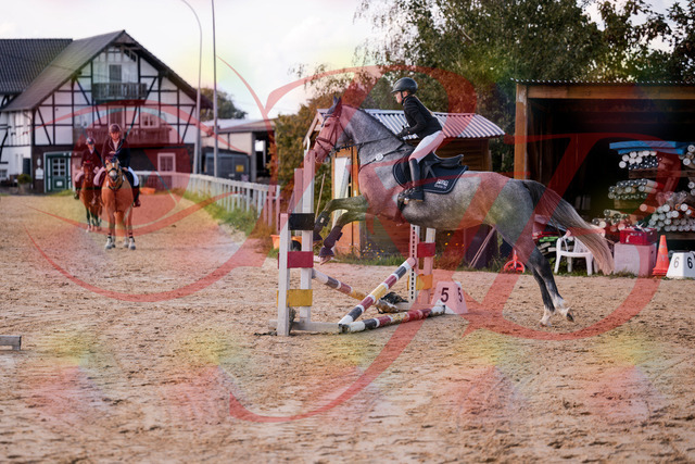 2026_10_03_Siefer-Hof_145129_Z81_30385115 | Professionelle Reitsport-, Turnier- und Eventfotografie von Robert Broda. Galerien mit ausgewählten und bearbeiteten Bildern direkt online ansehen und bestellen.