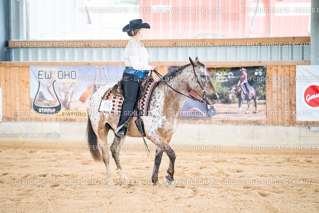 DSC01803 | Pferdegrafie