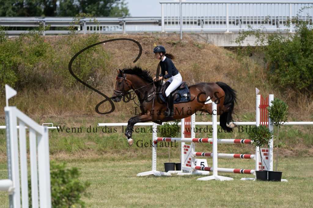 A7V01831 | Pferdefotograf