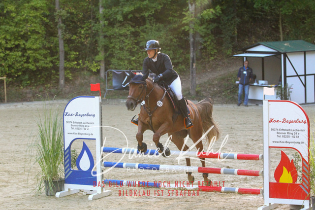 DKP42694 | Turniersportfotografie; Pferdefotografie; Dressurfotografie