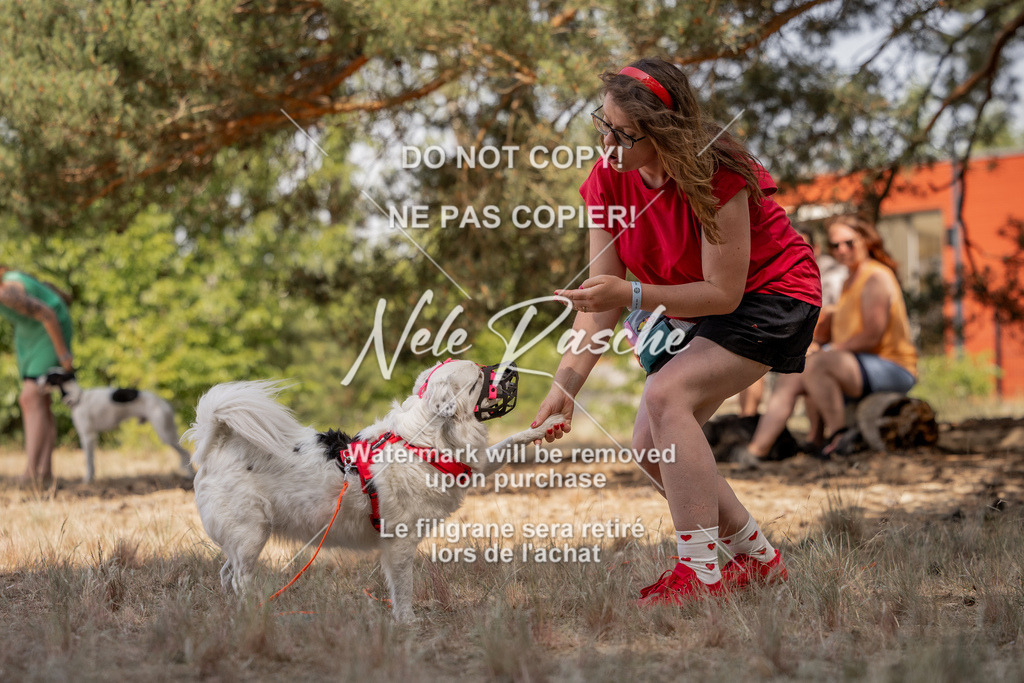 nelerasche_soDD2_383 | nelerasche