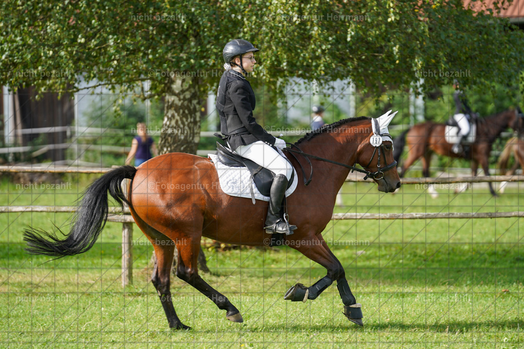 20230917-FAH09135 | Landsberg am Lech, 2023, Kaufbeuren, Kempten, Allgäu, Turnierfotografen Bayern, Fotoagentur Herrmann, Turnierbilder, Reitsport Fotos, Pferdefotograf, Augsburg, Bad Tölz, Dachau, Karlsfeld, Memmingen, Buchloe, Schwabmünchen
