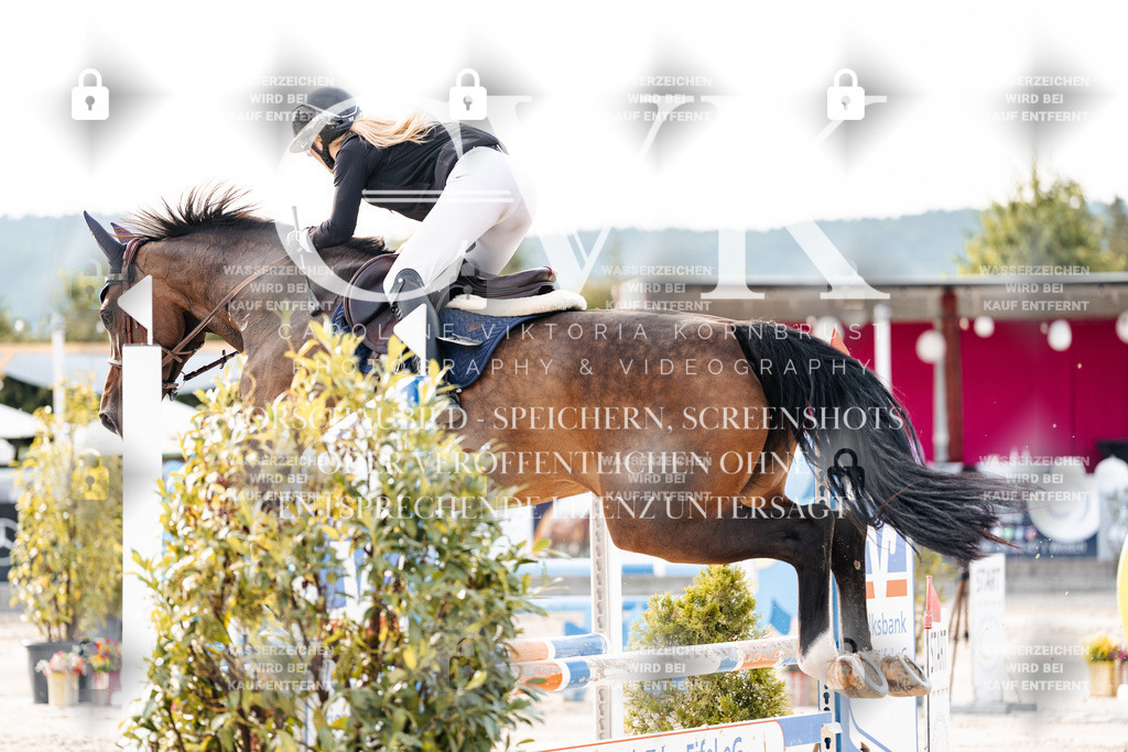 CK907091 | Turnierfotografie Pferdefotografie Trier Rheinland-Pfalz Pferdesport Reitsport Tierfotografie Sportfotografie Pferdevideo Pferdevideografie Equestrianvideography equestrianphotography  - Realisiert mit Pictrs.com