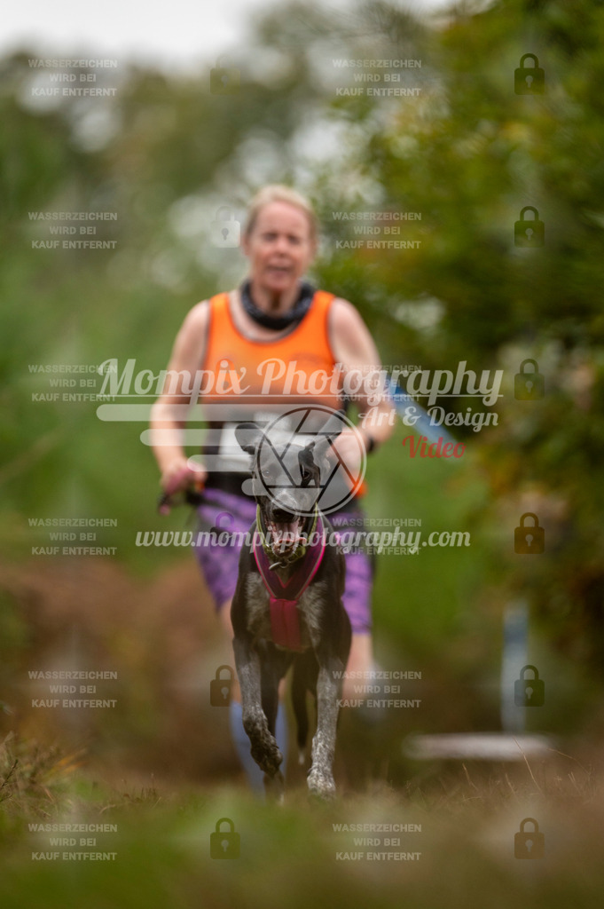 TSB_2023_E5_Canicross-147 | PayLife
