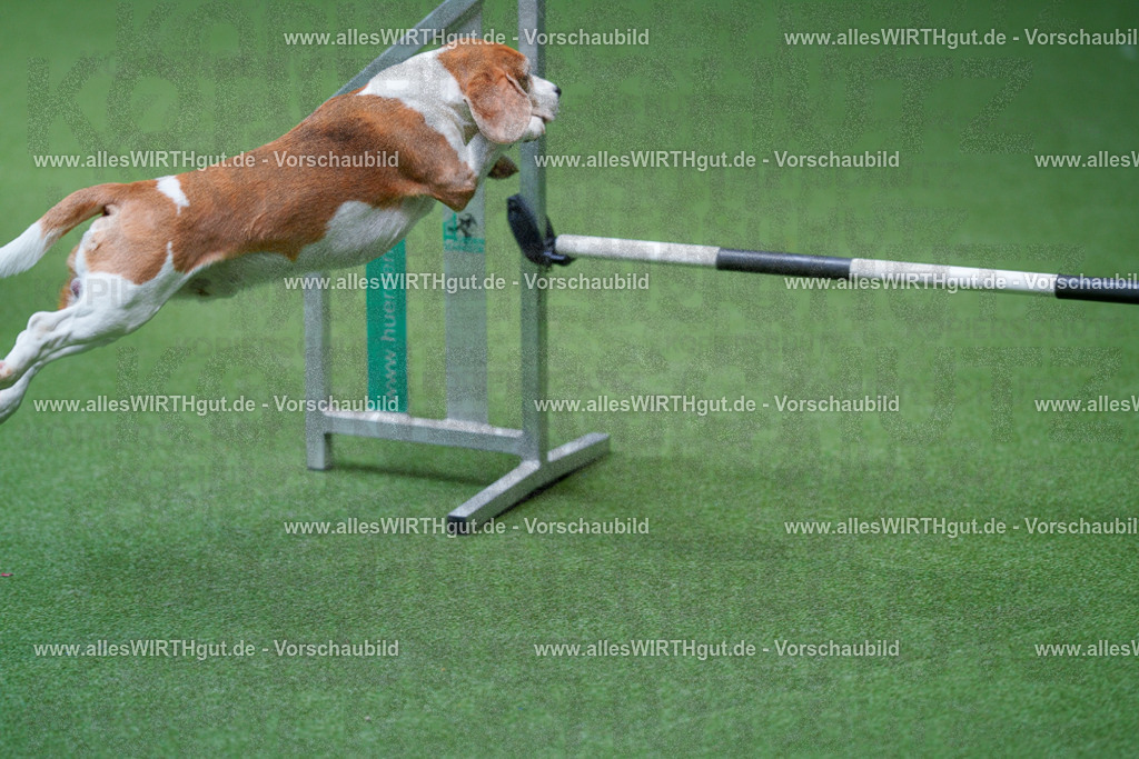 @allesWIRTHgut_Tierfotografie - www.allesWIRTHgut.de - 2604261221-7R500744 | Professionelle Tierfotografie in Mönchengladbach von Daniel Wirth (allesWIRTHgut). Liebevolle & natürliche Bilder von Hunden & Katzen für unvergessliche Erinnerungen.