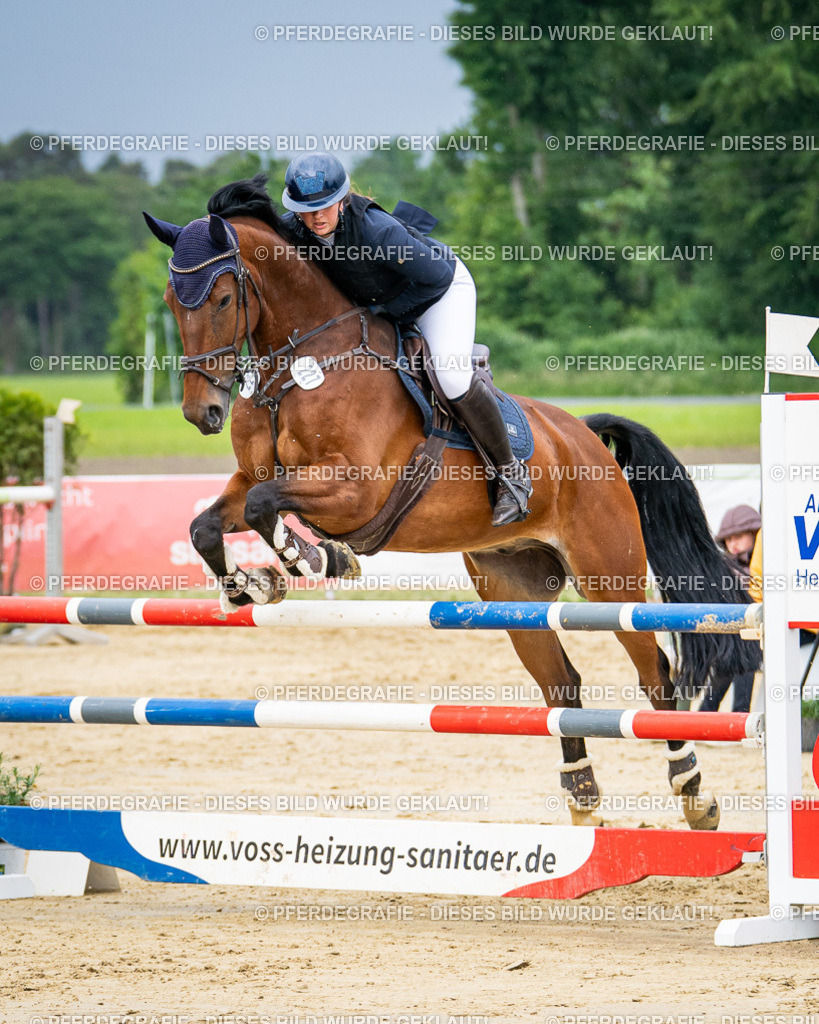 DSC03996 | Pferdegrafie