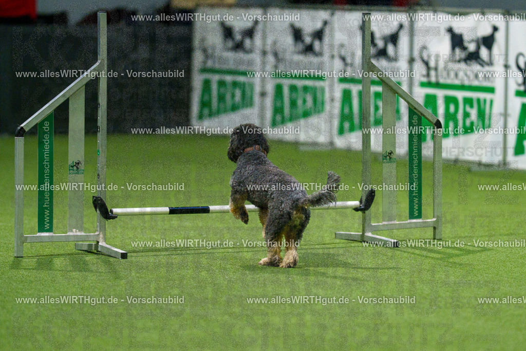 7R504022 | Professionelle Tierfotografie in Mönchengladbach von Daniel Wirth (allesWIRTHgut). Liebevolle & natürliche Bilder von Hunden & Katzen für unvergessliche Erinnerungen.