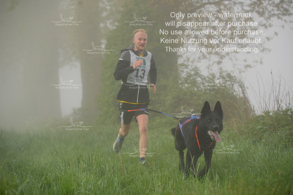 SA_GL2-79 | stephaniefillaphotographie - Realisiert mit Pictrs.com