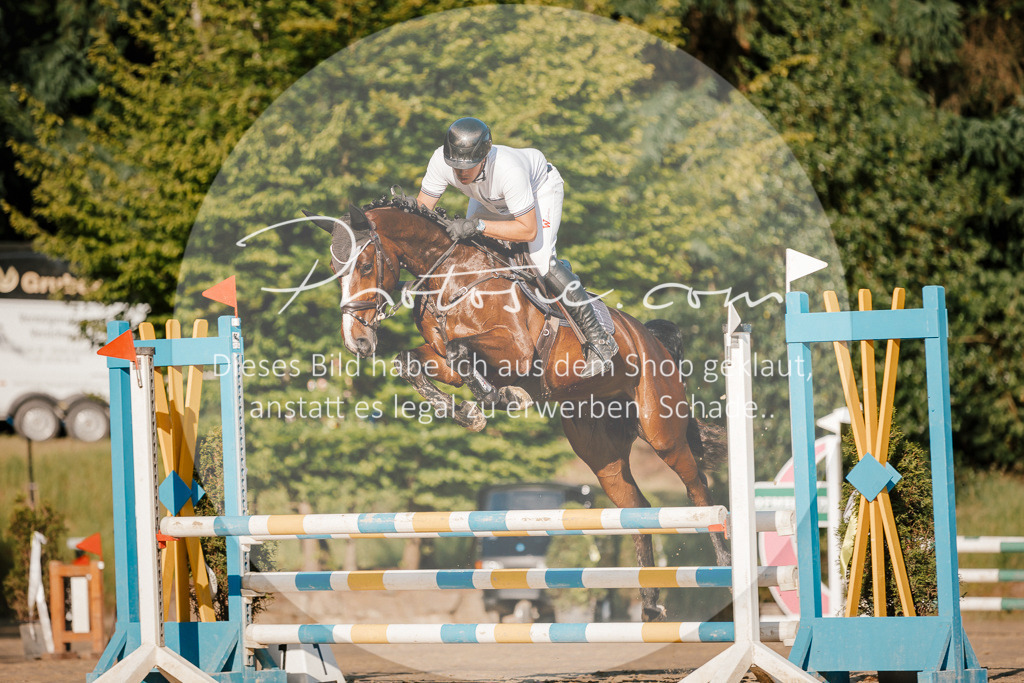 3I6A6044 | Stimmungsvolle Portraits und Reitsportfotografie im Ruhrgebiet und im Münsterland.

Pferdefotografie, Hundefotografie, Tierfotografie, Reportagen, Portraits von Tier und Mensch, Turnierfotografie in Bochum, Recklinghausen, Marl, Haltern am See, Dülmen.. - Realisiert mit Pictrs.com