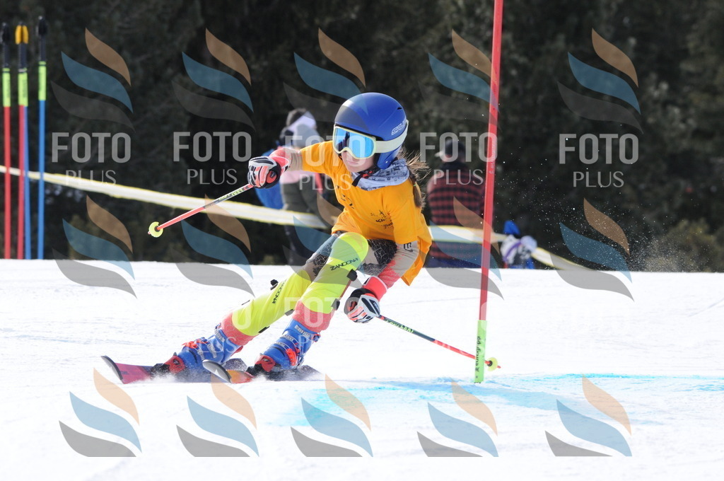 C7303 | holidayphoto