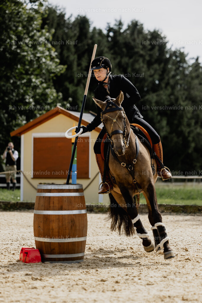 Katja7_FHC2025-20209 | working equitationturnier fotograf videograf stoibphotography marixx film working equitation deutschland reitsport turnierfotografie eventfotografie equestrian events