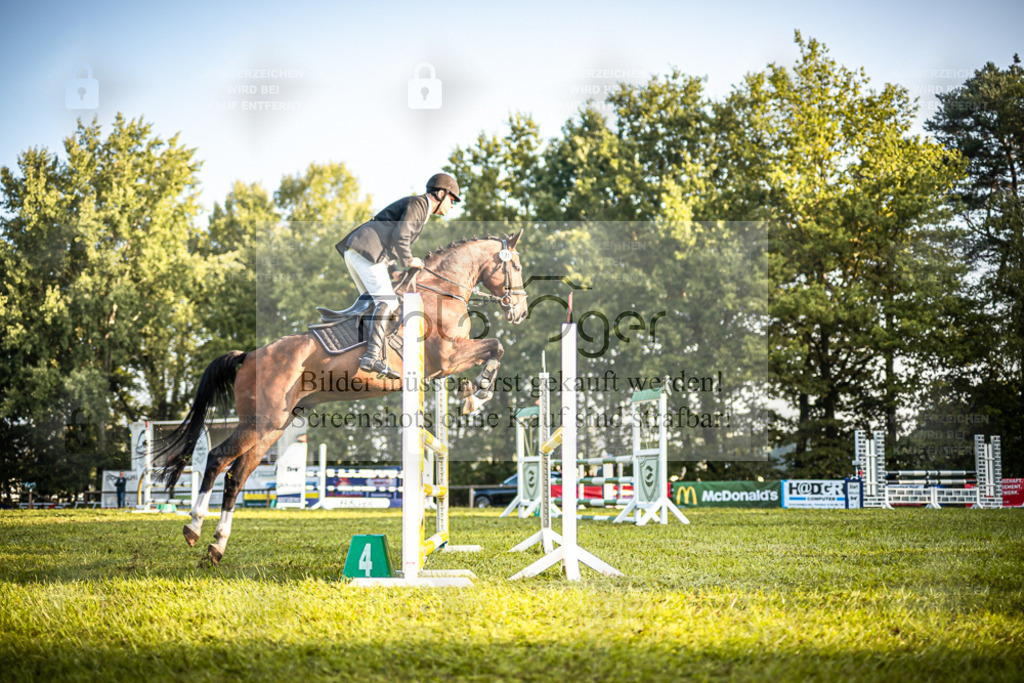 Z63_0219 | Entdecke hochwertige Reitturnierfotos von Foto Oger. Professionell, emotional und authentisch – jetzt Lieblingsmomente im Shop bestellen. - Realisiert mit Pictrs.com