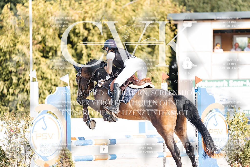 CK909401 | Turnierfotografie Pferdefotografie Trier Rheinland-Pfalz Pferdesport Reitsport Tierfotografie Sportfotografie Pferdevideo Pferdevideografie Equestrianvideography equestrianphotography  - Realisiert mit Pictrs.com