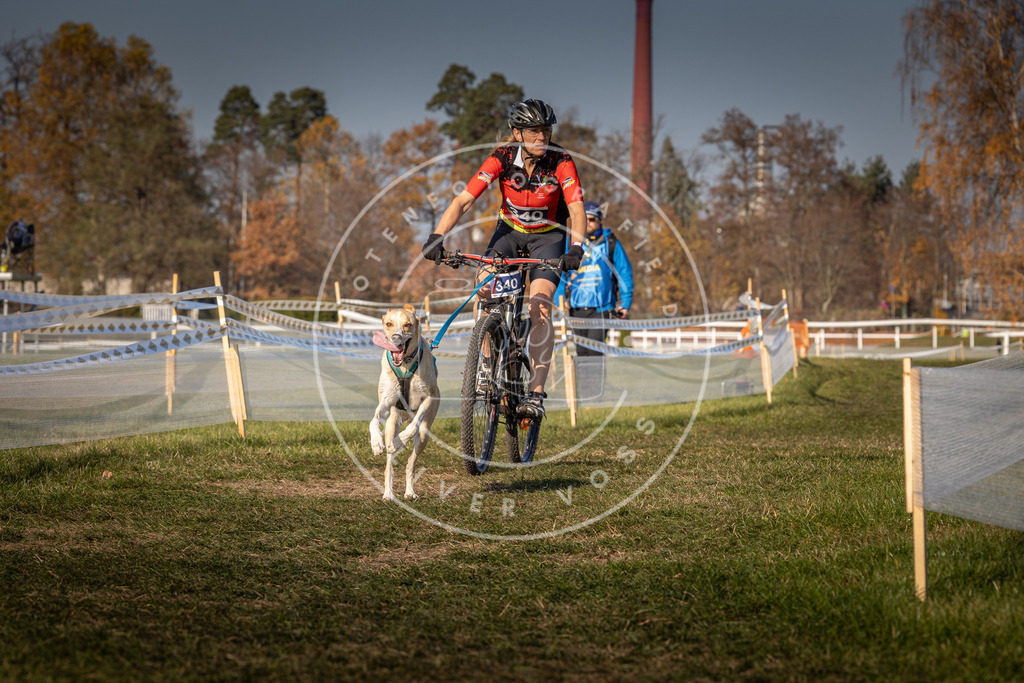 CaniXpix_0L8A7931 | Hundefotografie, Tierfotograf, Pfotenfotografie, Fotoshooting Hund, Hunde Portrait, Hundesport, Hundeportraits, Heideshooting, Hunde, Sportfotograf, Hundefotograf, Turnierhundsport, THS,  - Realisiert mit Pictrs.com