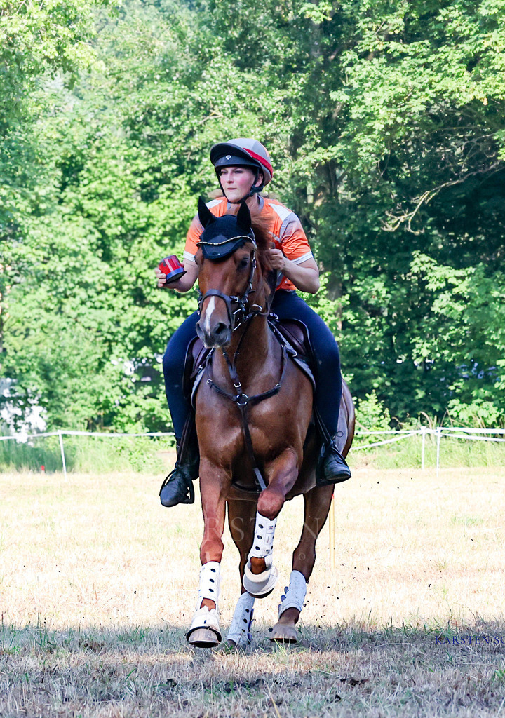 1B3A8162 | Reitsport Reiten